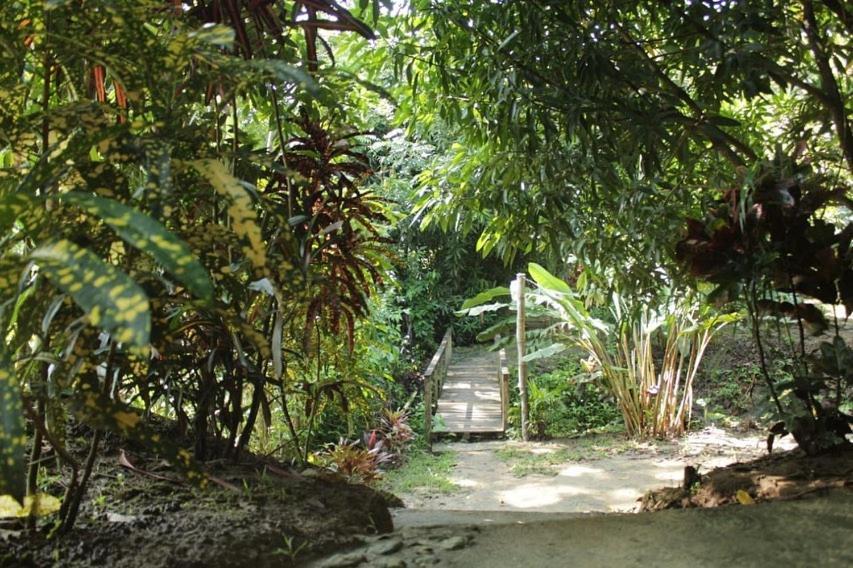 Hostal Mama Tayrona Calabazo  Exterior foto
