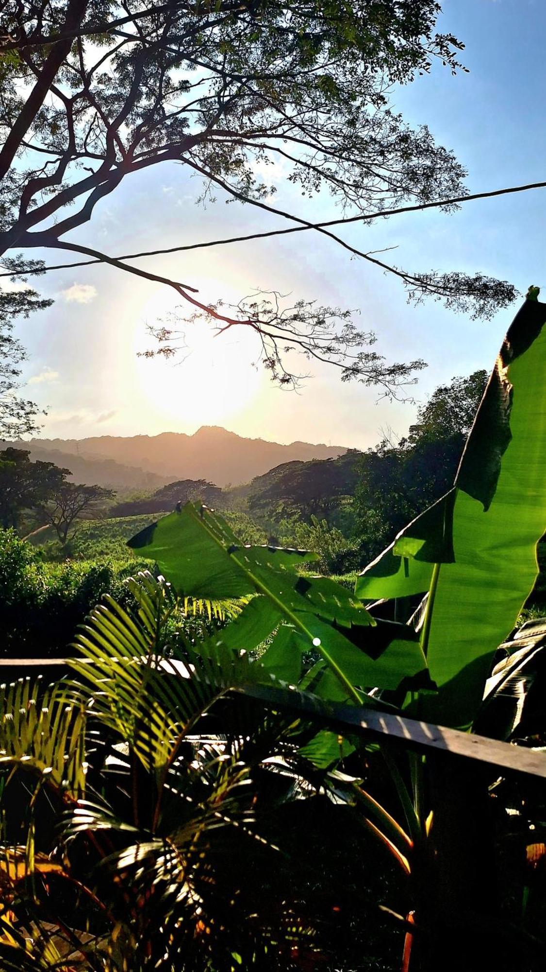 Hostal Mama Tayrona Calabazo  Exterior foto