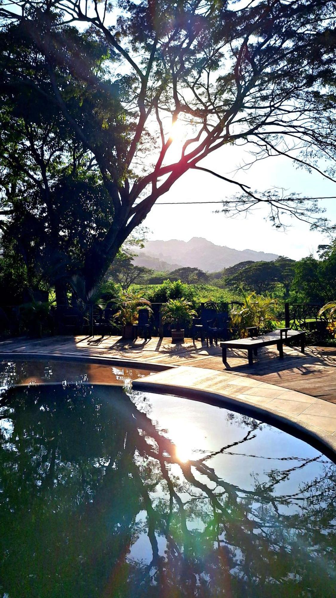 Hostal Mama Tayrona Calabazo  Exterior foto